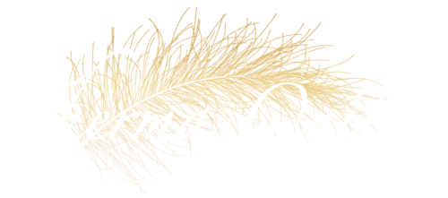 Therma Quilts
